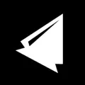 Digital Natives Group logo