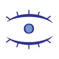 DigitalOptometrics LLC jobs