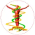 Document Plus Technologies logo