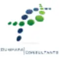 Dummars Consultants LLC logo