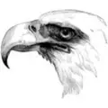 Eagle Engineered Solutions Inc logo