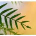 Earth First Innovations LLC logo