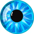 Emerald Coast Eye Institute logo