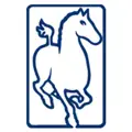 Ferghana Partners logo