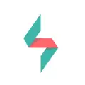 FLASHBRAND INC logo
