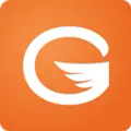 Gaggle logo