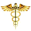 Gold Standard EMS logo