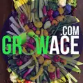 GrowAce.com logo