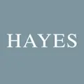 Hayes Management Consulting logo