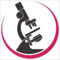 Healthcare Connections, Inc. jobs
