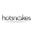 Hot Snakes Media logo
