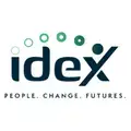 IDEX Consulting jobs