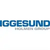 Iggesund Paperboard logo