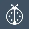 Instabug jobs