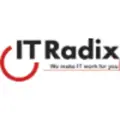 IT Radix logo