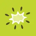 Kiwi Creative logo