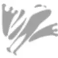 Leapfrog Marketing, PR & Design logo