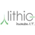 Lithic jobs
