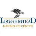 Loggerhead Marinelife Center jobs