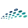 Maiberger Institute logo