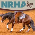 National Reining Horse Association logo