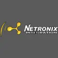 Netronix Integration, INC jobs