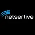 Netsertive jobs