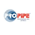 PRO-PIPE (Professional Pipe Services) logo