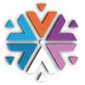 Wildcard Parking logo