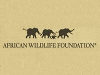 African Wildlife Foundation logo