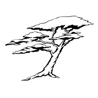 Humboldt Area Foundation logo