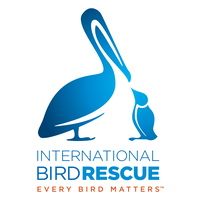 International Bird Rescue jobs