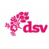 DSV logo