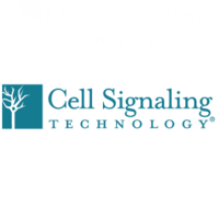 Cell Signaling Technology jobs