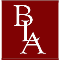Barry Levin Associates