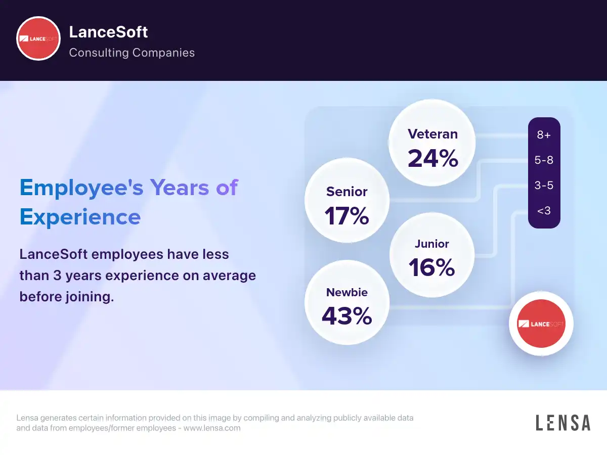 LanceSoft Engineering Overview