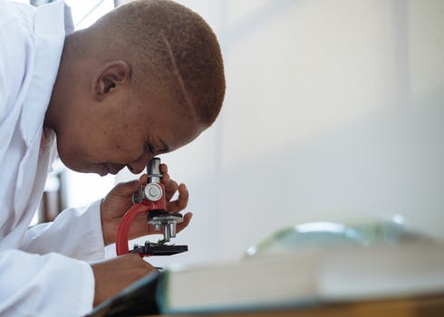 Focused biologist studying plant leaf with microscope