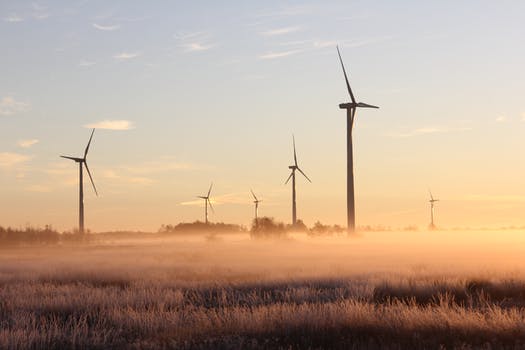 Photo of windmills during dawn